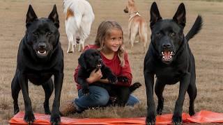 The 10 Ultimate "Kids Protecting" Dog Breeds