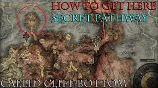 Elden Ring - How to get to the Secret Blue Giant Area | Caelid Northwest Bottom Cliff