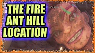 Where to Find The Fire Ant Hill In Grounded | New Fire Ant Hill In Grounded New Update
