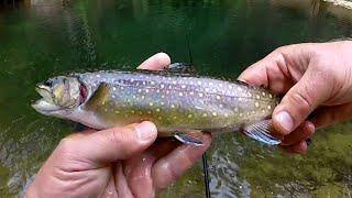 Tenkara Trout Fishing with Nissin Zerosum Rod, 2020