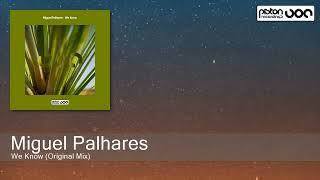 Miguel Palhares - We Know (Original Mix) [Piston Recordings]