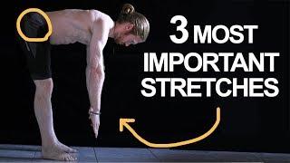 The 3 Most Important Stretches For Movement