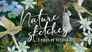 Art Journaling the Birds of Australia  Nature Sketches with A Forest Witch