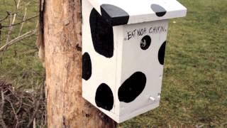 A LOUD "surprise" awaits every geocacher at this amazing geocache!