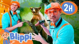 Blippi's Animal ADVENTURE! |  Blippi and Meekah Best Friend Adventures | Educational Videos for Kids