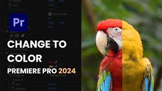 How to Replace Color in a Video | Change to color Premiere Pro 2024 #videoediting