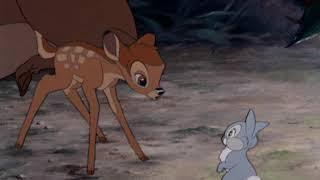 Bambi バンビ誕生　生まれたての小鹿シーン