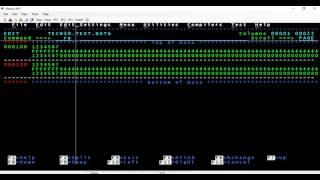 COBOL: Zoned Decimal and packed decimal