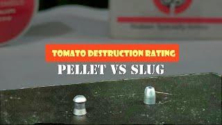 JSB PELLET VS NIELSEN SPECIALTY AMMO NSA SLUG // Tomato Destruction Rating