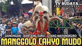 Tari Bujang Ganong Terbaru Jaranan MANGGOLO CAHYO MUDO