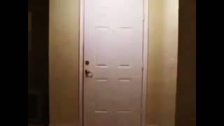 Big Bird kicks down a fucking door