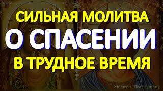 Просите помощи и защиты в эти трудные времена. Сильная молитва о спасении от беды, болезни и смерти