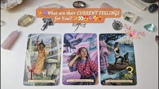 What are their Current Feelings for You? ️‍ Pick a Card | Detailed Love Reading (Timeless)