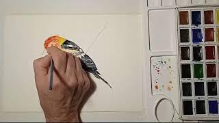 Рисунок акварелью. How to paint a bird in watercolor painting demo