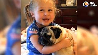 Little Girl Says The Funniest Things To Her Pugs | The Dodo