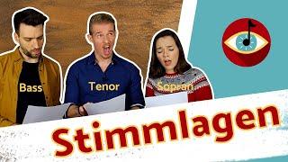 Die STIMMLAGEN - SOPRAN, ALT, TENOR, BASS, u.v.m. in 6 MINUTEN!