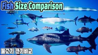 Fish Size Comparison (물고기 크기비교) (Living Fish)