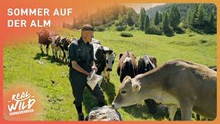 Zauber des Dachsteins | Leben in den österreichischen Alpen | Real Wild Deutschland