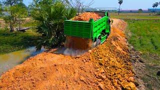 New Project Making Road ,Bulldozer Komat'Su D20P push Soil ,5 Ton Truck Delivery Soil unloading