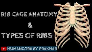 Rib Anatomy | True Ribs, False Ribs, Floating Ribs | Typical vs Atypical Ribs