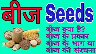 What is a seed? Types of seeds Parts of seed and structure of seed. Structure, Function and types of Seed