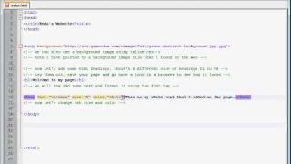 e_formatting text using teh font tag in html in notepad++