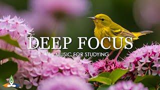 Deep Focus Music To Improve Concentration - 12 Hours of Ambient Study Music to Concentrate #771