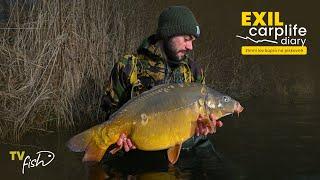 Zimní lov kaprů na pískovně v ČR | Exil Carplife | TV FISH CZ-SK | Lov kapra