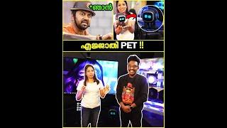 Eagle Gaming-ൻ്റെ Room-ലെ Electronic Pet !! 