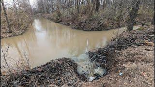 Beaver Dam Removal | Unclogging 4 drains