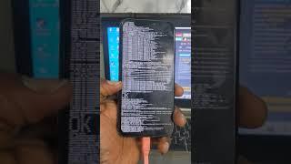 iPhone 11 Pro checkra1n jailbreak bypass