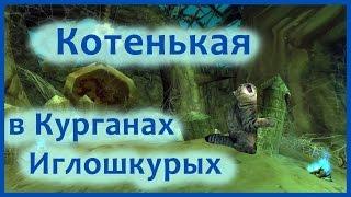 История подземелий WoW - Курганы Иглошкурых