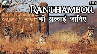 रणथंभौर की सच्ची जानी - Ranthambor Ki Sacchai Janiye | World Documentary HD