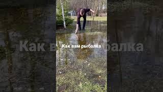 Вот это рыбалка, тихая охота#shorts #рыбалка