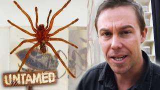 Scariest Wildlife Encounters  The Wildlife of Tim Faulkner | Untamed