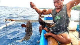 Found a grouper nest while changing fishing spots several times.