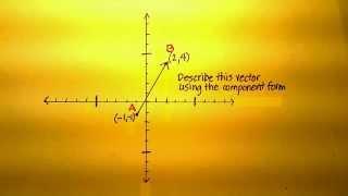 Vector Problem