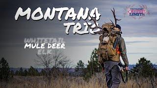 Montana Trio - Trophy Montana Mule Deer 4K.