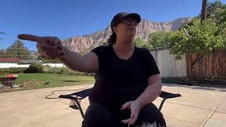 Interview with ring door lady how all the terrorizing and harassment started and destroy familys