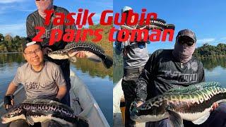 Tasik Gubir casting Ikan toman 2 parents,Daiwa/Ironman the throne subscribe like comment tq guy’s .