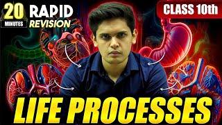 Life Processes in 20 Minutes| Class 10th | Rapid Revision | Prashant Kirad