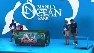 All Star Bird Show at the Manila Ocean Park ️