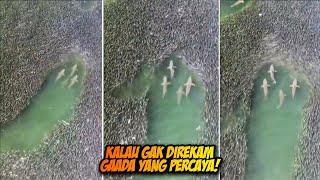 Awalnya Iseng-Iseng Main Drone, Namun Setelah Diperiksa Ternyata Berhasil MEREKAM KEJADIAN SERAM!