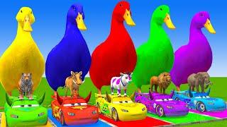 5 Giant Duck Cartoon,Cow,Elephant,Giraffe,Tiger,Lion, Paint Wild Animals Crossing Fountain Animation