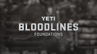 YETI Bloodlines: Foundations - An insight into ABBI