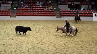 Houston Rodeo Professional Cutting Horse Competition