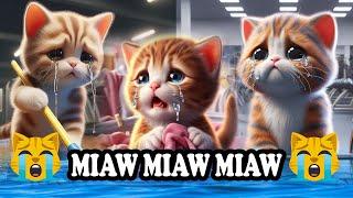 Miaw miaw miaw miaw song sad tiktok