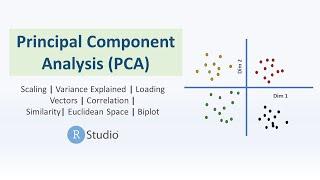 Principal Component Analysis Tutorial & Interpretation Using R