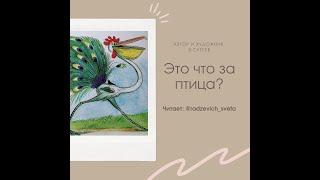 Сказка "Это что за птица?" / Сундучок сказок Тимофея