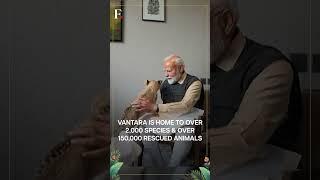 WATCH: PM Modi Plays With Lion Cubs, Feeds Animals | Subscribe to Firstpost | N18G